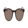 Dragon Unisex Adult Sunglasses KOBY Shiny Tortoise Brown with Lumalens Brown Lens
