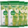 Dettol Biodegradable Antibacterial Multipurpose Wipes Apple, 440s (2 x 220s)
