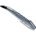 Roland AE-01 Aerophone Mini - Digital Wind Instrument, Six Great Onboard Sounds Let You Explore A Variety of Music Styles