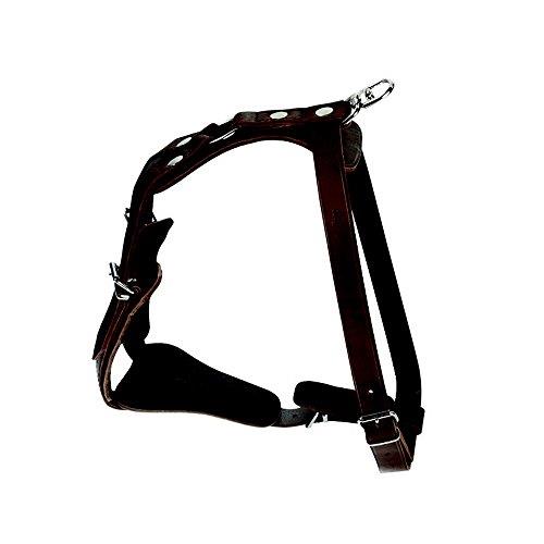 Dingo Gypsy Dog Harness for Training in Fields, Adjustable Stripes, Handmade of Brown Leather 10689