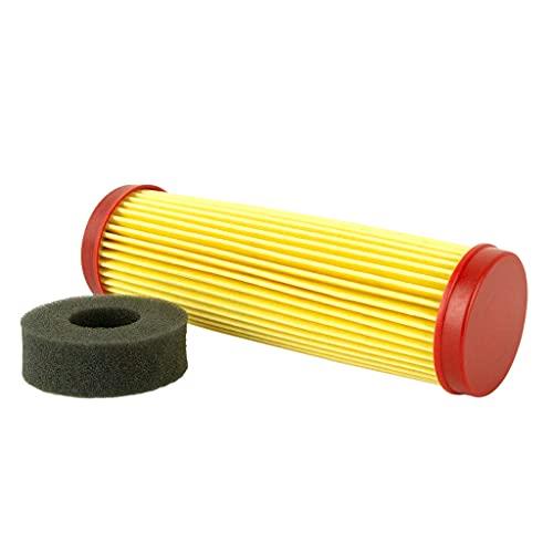 Bynorm Long Victa Air Filter Element and Foam Dust Seal