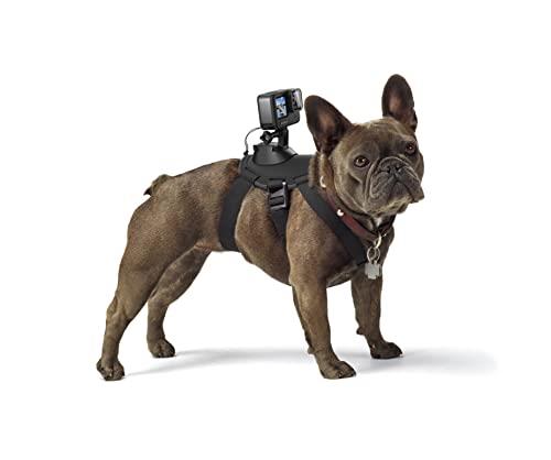 GoPro Fetch (Dog Harness) DVC Accessories,Black