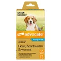 Advocate Dog, Monthly Spot-On Protection from Fleas, Heartworm & Worms, Single Pack Flea Treatment for Medium Dogs 4-10 kg, 1 Pack