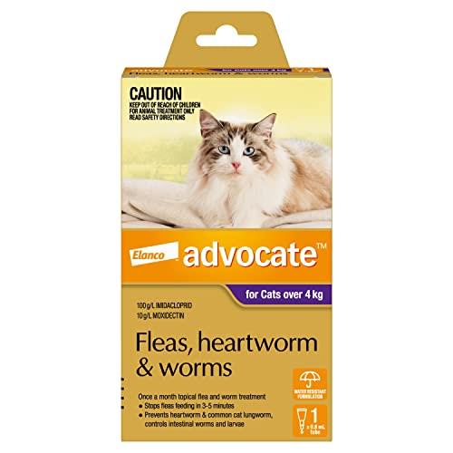 Advocate Cat, Monthly Spot-On Protection from Fleas, Heartworm & Worms, Single Pack Flea Treatment for Cats Over 4 kg, 1 Pack