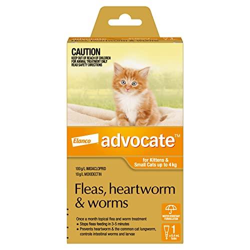 Advocate Cat, Monthly Spot-On Protection from Fleas, Heartworm & Worms, Single Pack Flea Treatment for Kittens & Small Cats up to 4 kg, 1 Pack
