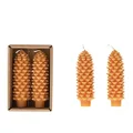 Creative Co-Op 5" H Unscented Pinecone Shaped Taper Box, Honey Color, Set of 2 (Approximate Burn Time 5 Hours) Candles, 2" L x 2" W x, Multi