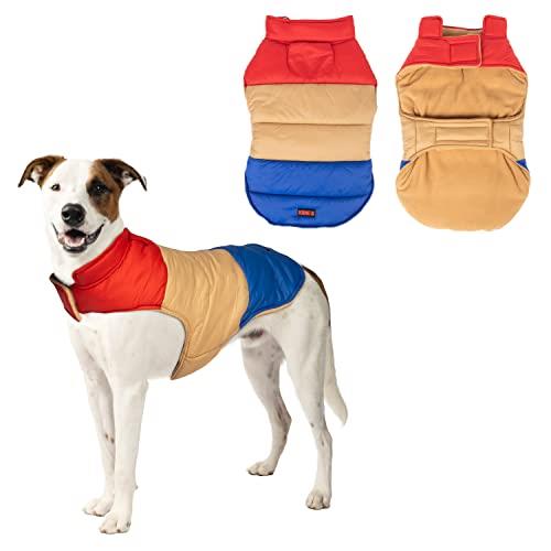 KONG Multi-Colored Color Blocked Vintage Jacket for Dogs Small