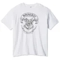 Harry Potter Men's Hogwarts Crest T-Shirt, White, Medium