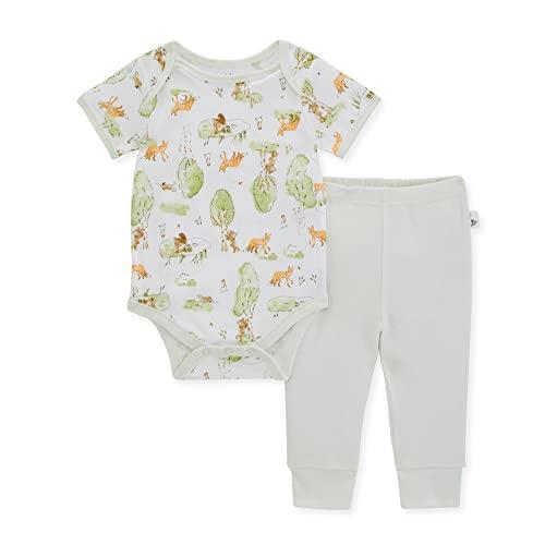 Burt's Bees Baby baby-boys Bodysuit & Pant Set, 100% Organic Cotton, Country Critters, 24 Months