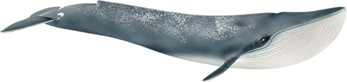 Schleich Wild Life 14806 Collectible Blue Whale for Adults & Kids 3+