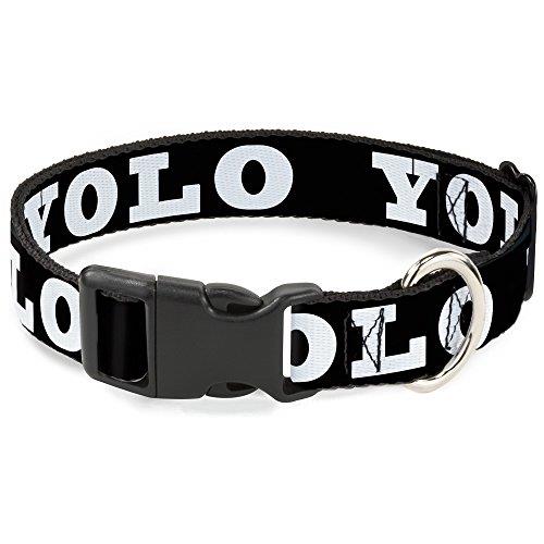 Buckle-Down Plastic Clip Dog Collar, YOLO Bold Black/White, 13 to 18 Inch Neck Size x 1.5 Inch Width