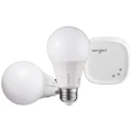 Sengled Element Classic Smart E27 Base, Dimmable LED Light Soft White 2700K 60W Equivalent, Starter Kit (2 A60 Bulbs + hub), Compatible with Alexa and Google Assistant