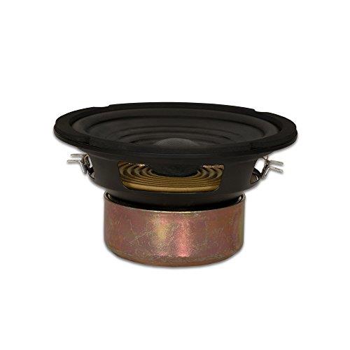 Goldwood Sound Dual Voice Coil 6.5" Replacement Speaker Woofer Black (GW-406D)