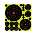 Birchwood Casey Shoot - N - C Self - Adhesive Target Variety Pack, 5 Pieces