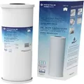 OMNIFilter Pentair TO8-20 Carbon Water Filter, 20" Heavy Duty Whole House Granular Carbon Taste & Odor Replacement Filter Cartridge, 20" x 4.5", 25 Micron