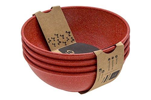 EVO Sustainable Goods Dinnerware Bowl Set, 24 oz, Red