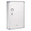 Amazon Basics 24-Key Position Cabinet lock Box, Silver, 31.7D x 21.5W x 6.2H centimeters