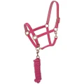 Tough 1 Tough-1 Neoprene Padded Halter with Antique Hardware Lead Set, Pink