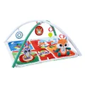 Chicco Rest and Play Multifunction Gym with Arch for Babies