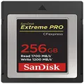 SanDisk 256GB Extreme PRO CFexpress Card Type B - SDCFE-256G-GN4IN