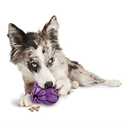 PetSafe Busy Buddy Barnacle - Dog Chew Toy - Treat Dispensing Dog Toys Purple Medium