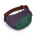 Osprey Europe Daylite Waist Unisex Lifestyle Bumbag AXO Green/Enchantment Purple O/S, One Size