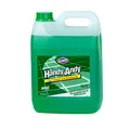 Handy Andy Green Disinfecting Floor Cleaner and General Purpose Cleaner, Pine Scent, 5L