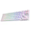 LTC NB681 Nimbleback Wired 65% Layout Mechanical Keyboard, RGB Backlit Ultra-Compact 68 Keys Gaming Keyboard with Hot-Swappable Tactile Brown Switch and Stand-Alone Arrow/Control Keys，White