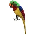 Sweidas Feathered Pirate Parrot - Tropical Feathered Pirate Parrot - Tropical
