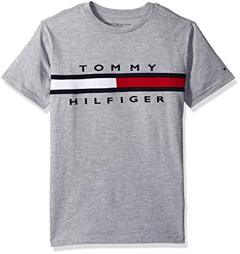 Tommy Hilfiger Boys' Short Sleeve Flag Crew Neck T-Shirt, Legacy Grey Heather, 2 Years