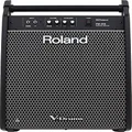 Roland Pm-200 Personal Monitor, 180 Watts of Power