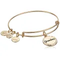 Alex and Ani Because I Love You Expandable Wire Bangle Bracelet for Women, Meaningful Charms, 2 to 3.5 in, Expandable, Non-Precious Metal