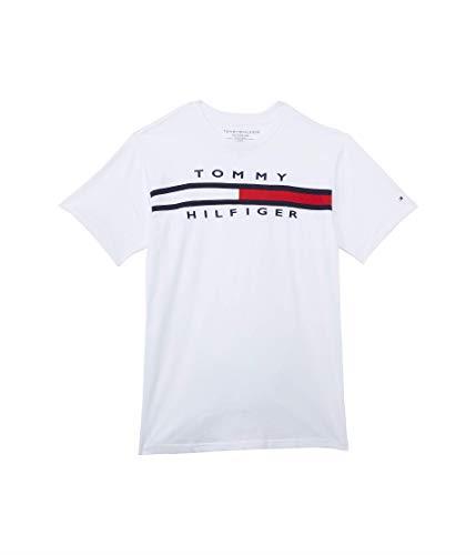Tommy Hilfiger Boys' Short Sleeve Flag Crew Neck T-Shirt, Legacy White, 2 Years