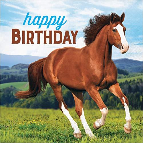 Creative Converting Horse and Pony Happy Birthday Lunch Napkins 16-Pieces