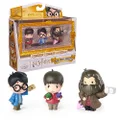 Wizarding World Harry Potter, Micro Magical Moments Figure Set with Exclusive Harry, Hagrid, Dudley & Display Case, Kids Toys for Ages 6 and up