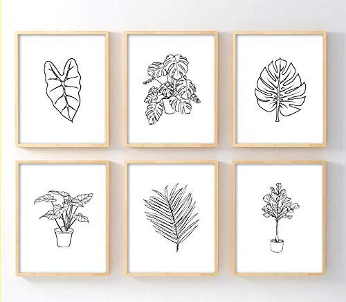 Ink Inc. Botanical Prints - House Plants and Leaves - Line Drawings Wall Art Minimal Black and White Home Decor - Set of 6-8x10 - Matte - Unframed