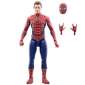 Hasbro Marvel Legends Series Friendly Neighborhood Spider-Man, Spider-Man: No Way Home Collectible 6 Inch Action Figures, Ages 4 and Up