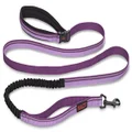 Company of Animals Halti All-in-One Lead for Dogs, Large, Purple