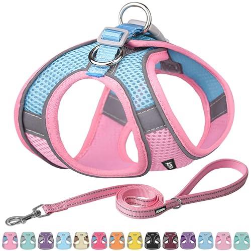 AIITLE Step in Dog Harness and Leash Set - No Pull Escape Proof Vest Harness with Soft Mesh and Reflective Bands, Adjustable Pet Outdoor Harnesses for Small and Medium Dogs Pink M