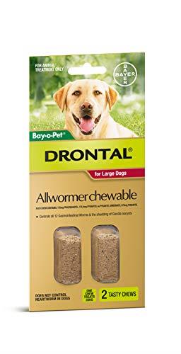 Drontal Allwormer Chews for Dogs 10-35kg, 2 Pack, 2 chews
