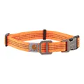 Carhartt Fully Adjustable Nylon Webbing Collars for Dogs, Reflective Stitching for Visibility, Hunter Orange/Brushed Nickel, Medium