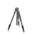 VANGUARD Alta Pro 2+ 264CT Carbon Fiber Tripod, Multi-Angle Center Column, for Sony, Nikon, Canon DSLR Cameras, Gray