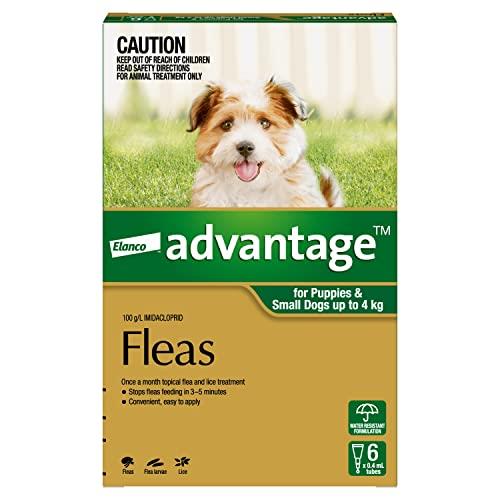 Advantage Fleas for Puppies & Small Dogs Up To 4kg - 6 Pack