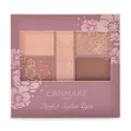 Canmake Perfect Stylist 5 Shades Eyes Shadow 3 g, 23 Almond Canele