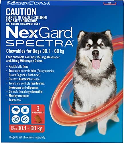 Nexgard Spectra Chewables for Dogs 30.1-60 kg (Pack of 3)