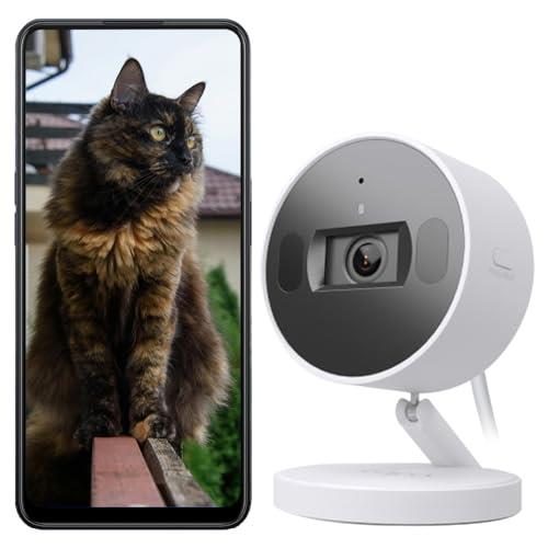 TP-Link Tapo AI Smart Home Security Wi-Fi Camera, Indoor/ Outdoor, Baby Monitor, 2K 4MP, Colour Night Vision, IP66, Smart AI Detection & Notification, Voice Control (Tapo C120)