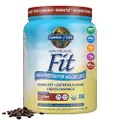 Garden of Life Organic Meal Replacement - Raw Organic Fit Vegan Nutritional Shake for Weight Loss, Coffee, 16oz (1lb / 454g) Powder