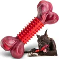 Apasiri Tough Dog Toys for Aggressive Chewers Large Breed, Chew Toys, Bones Made with Nylon and Rubber, Big Indestructible Toy, Medium Puppy Teething Chew
