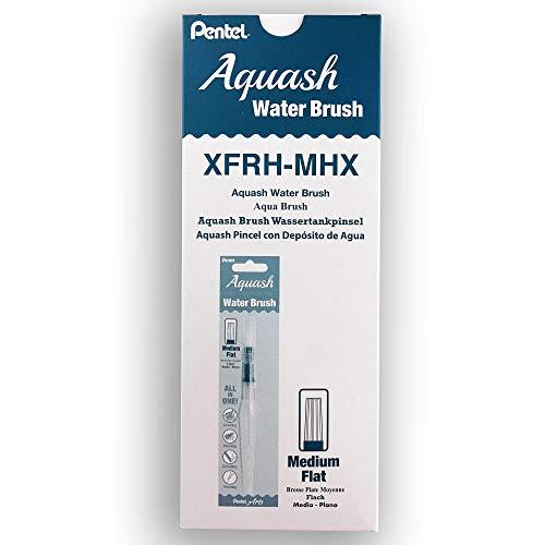 Pentel Arts Aquash Water Brush Flat Tip, Box of 10 Brushes (XFRH-MH)