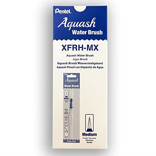 Pentel Arts Aquash Water Brush Medium Tip, Box of 10 Brushes (XFRH-M)